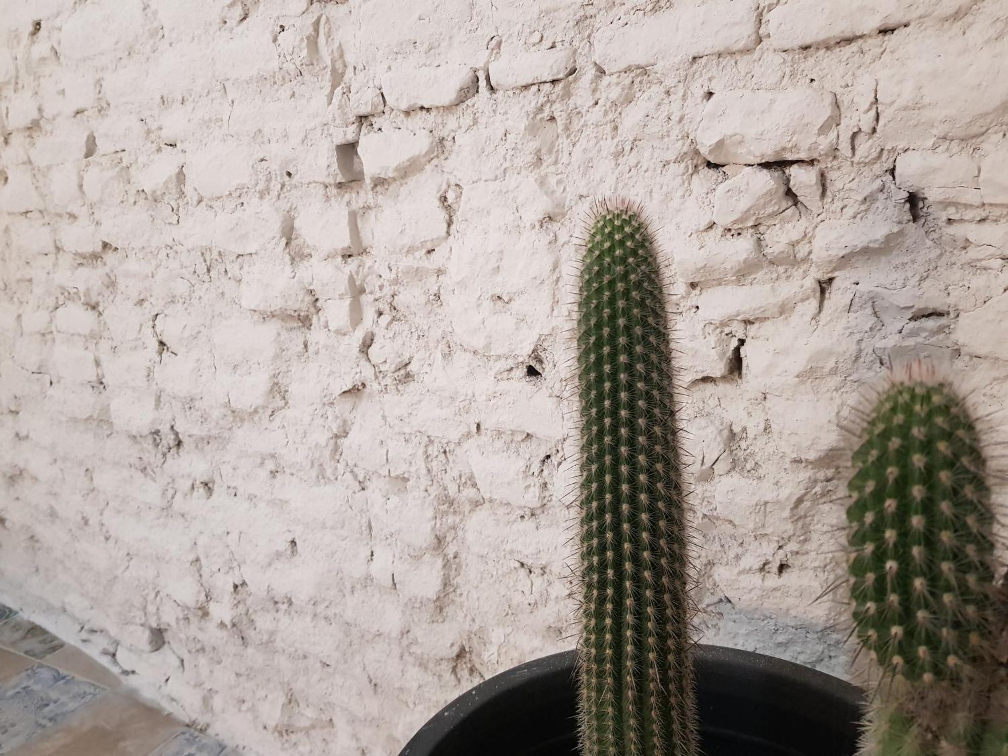 Apartamento B Reform Netflix Parking Segun Disponibilidad Sevilla Exterior foto